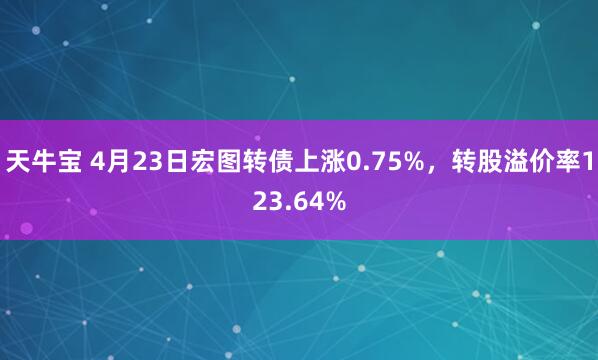 天牛宝 4月23日宏图转债上涨0.75%，转股溢价率123.64%