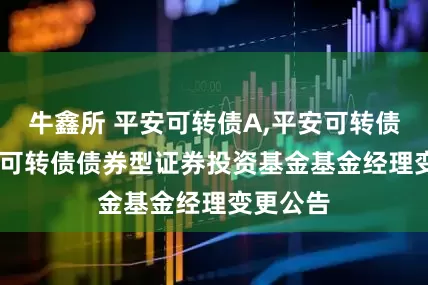 牛鑫所 平安可转债A,平安可转债C: 平安可转债债券型证券投资基金基金经理变更公告