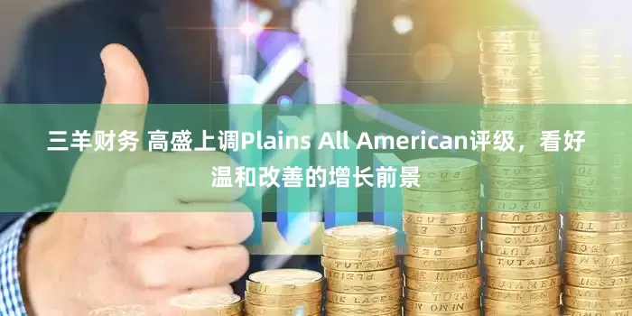 三羊财务 高盛上调Plains All American评级，看好温和改善的增长前景